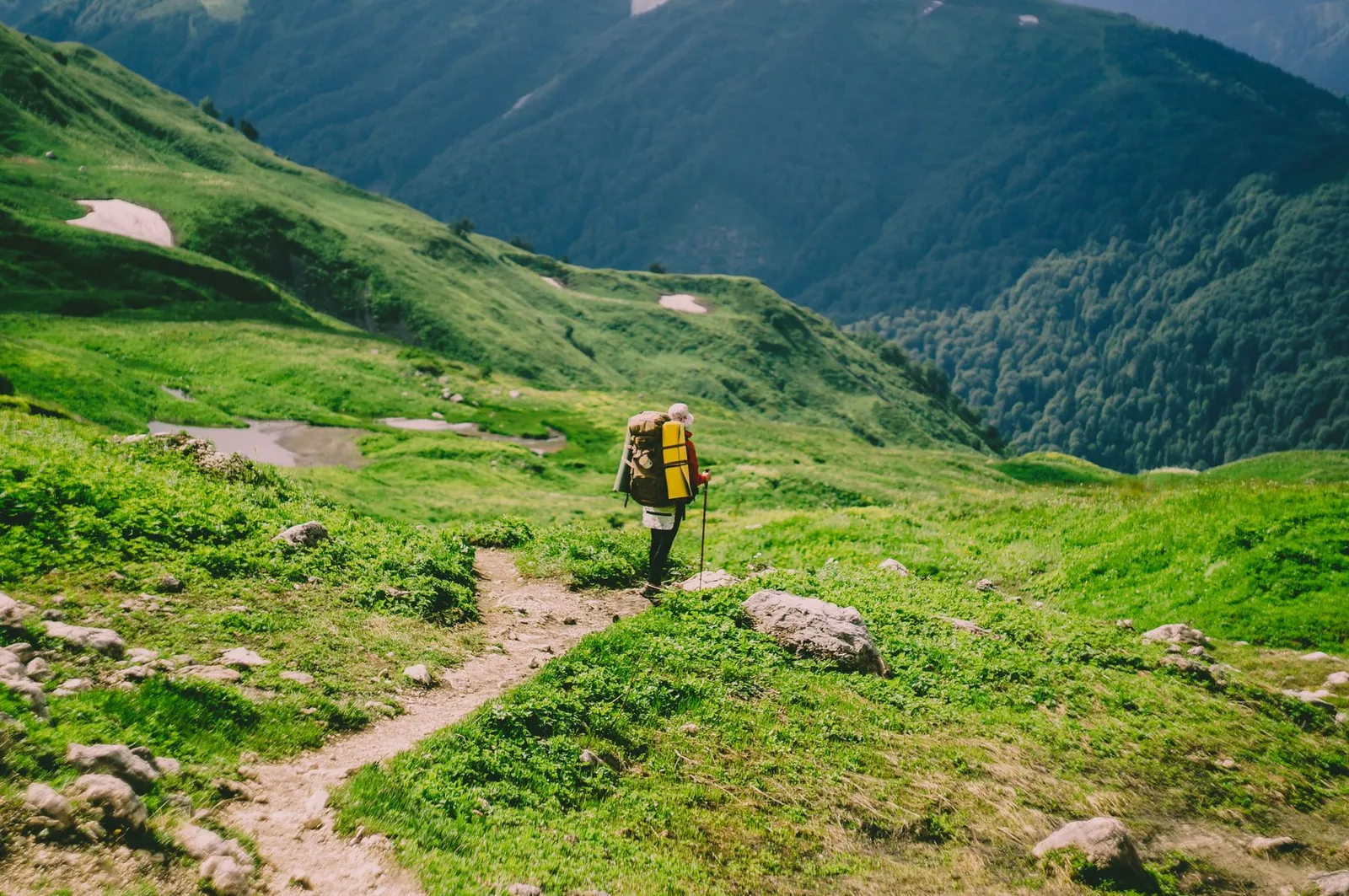 Hiker carrying a backpack along a green mountain trail in summer.