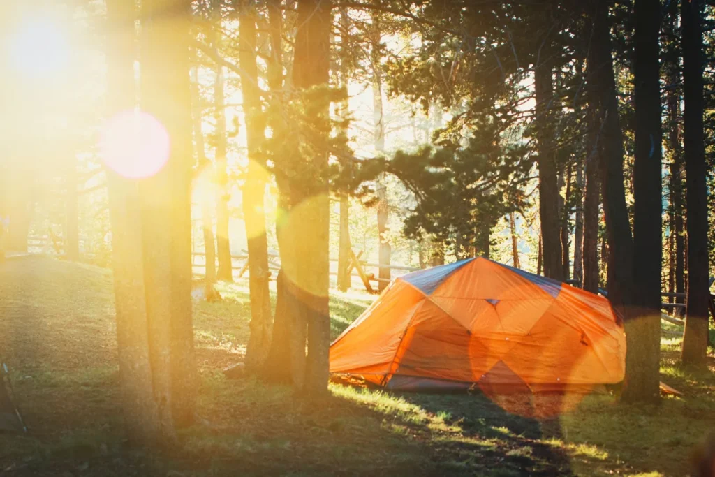 Orange camping tent in a forest with sunlight filtering through the trees.